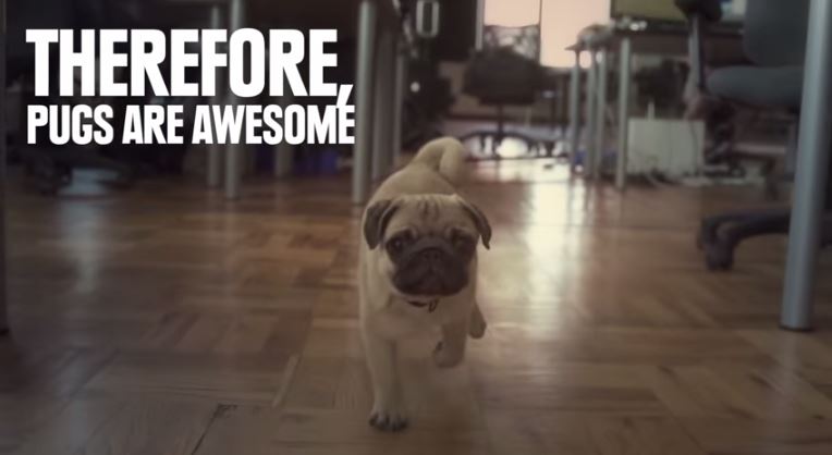pug are awesome
