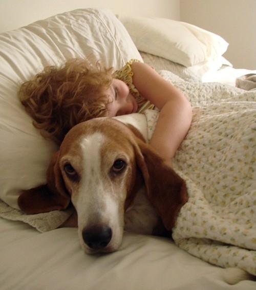 Basset Hound hug