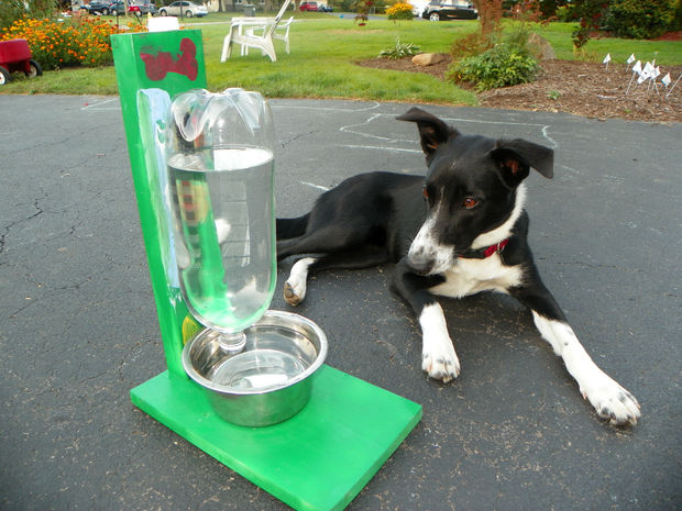 Picture of The Awesomest Coolest Easiest Water Bowl for DOGS & CATS!