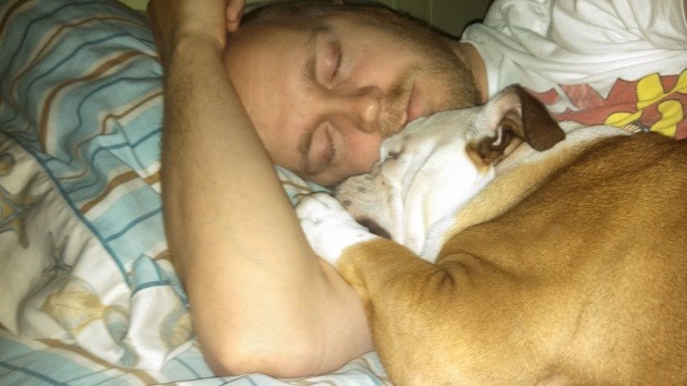 english bulldog sleep owner