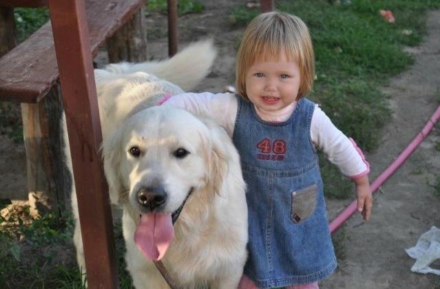 golden retriever kid girl friends