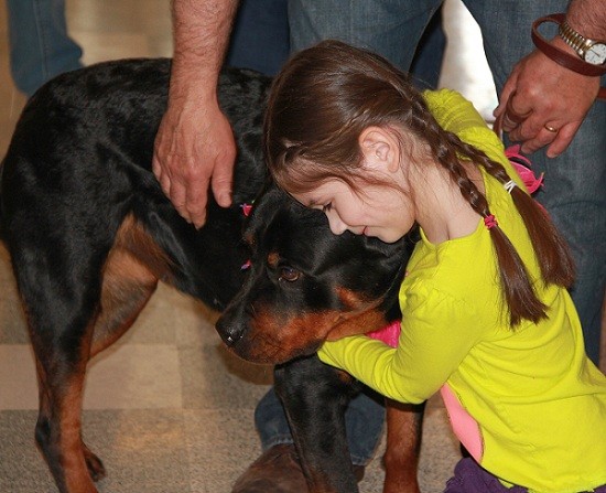 Rottweiler love hug