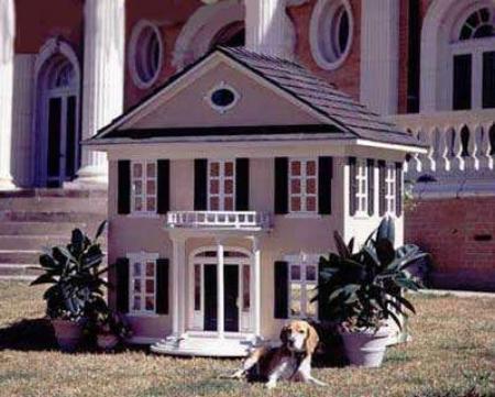 dog house funny 3