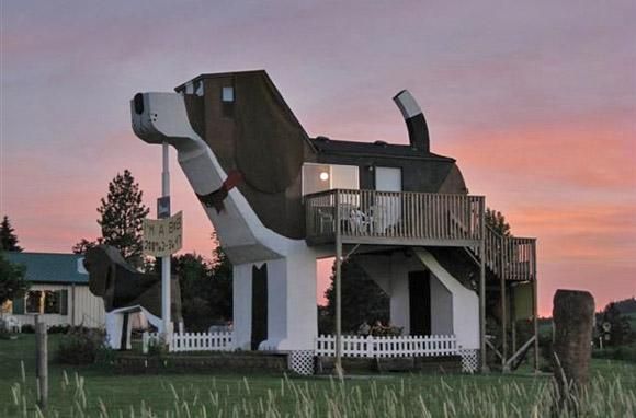 dog house funny 4