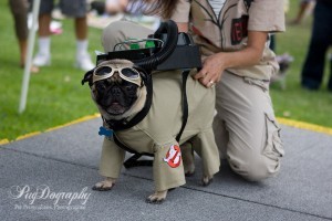 Ghostbuster