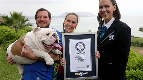 longest-human-tunnel-travelled-through-by-a-skateboarding-dog-certificate
