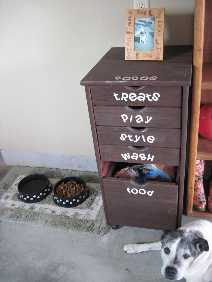 diy doggie station organization drawers