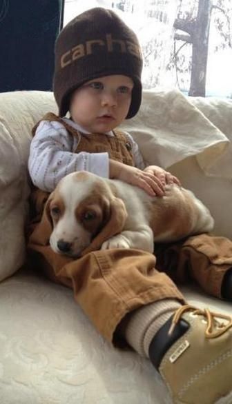 beagle best friend