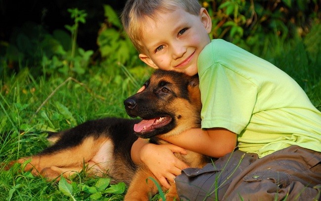 boy german shepherd hugging