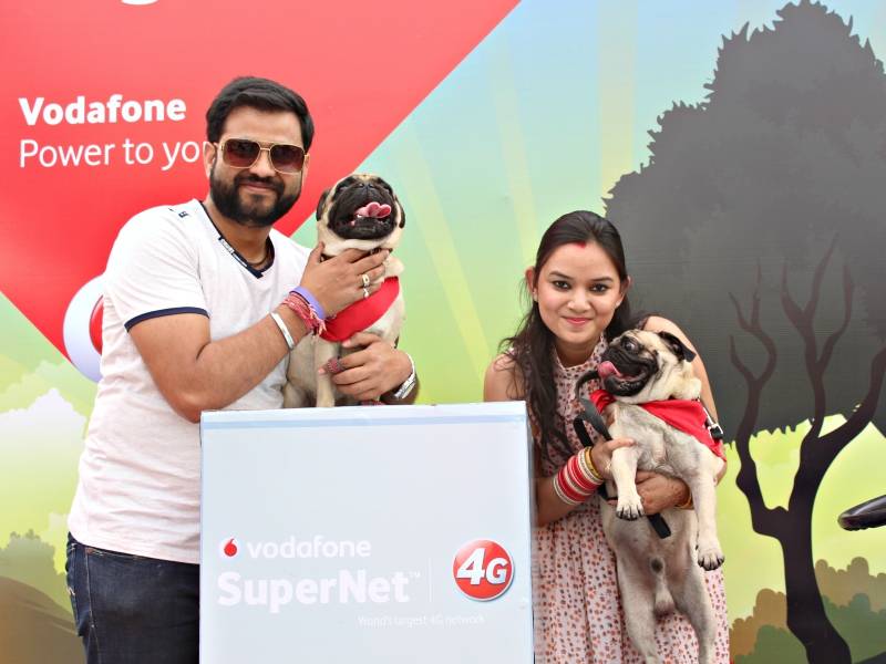 vodafone pug parade