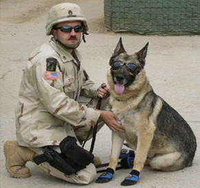 the united states war dogs association