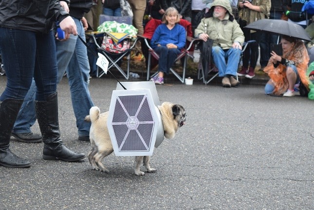 pug star wars 6