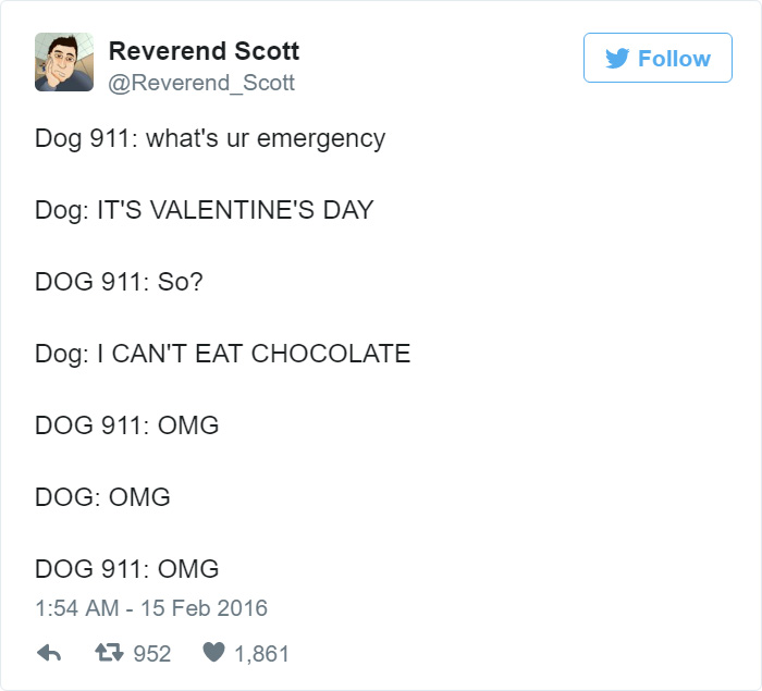 Dog 911
