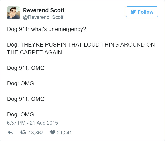 Dog 911