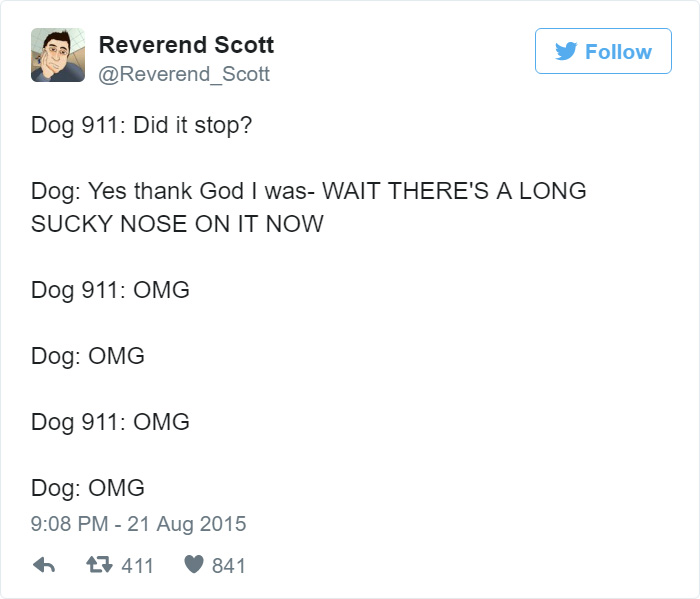 Dog 911