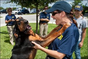 fbi_agent_with_police_dog