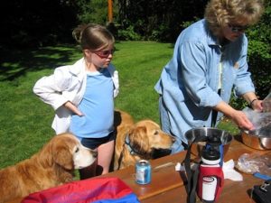 alfie-golden-bears-picnic1-600x450