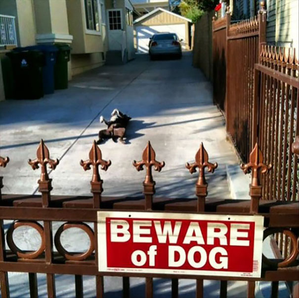 Beware Of The Dog