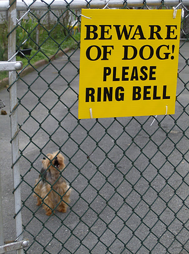 Beware Of The Dog