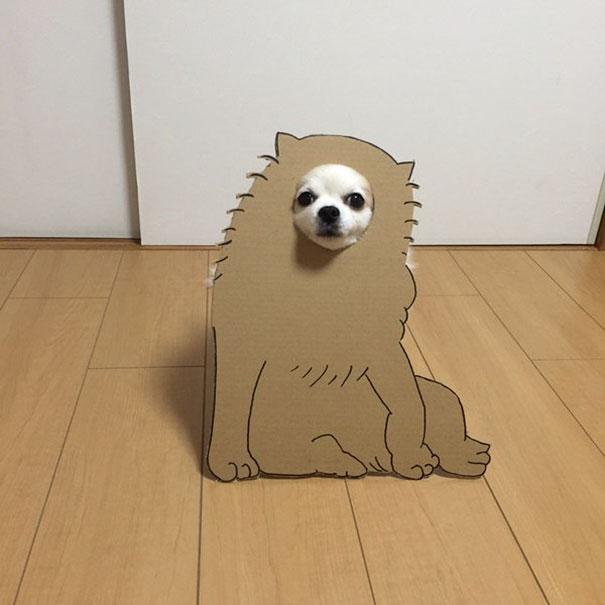 Cardboard Costume