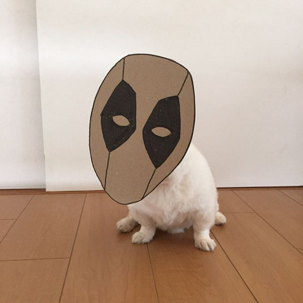 Cardboard Costume