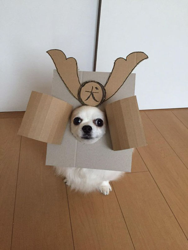 Cardboard Costume