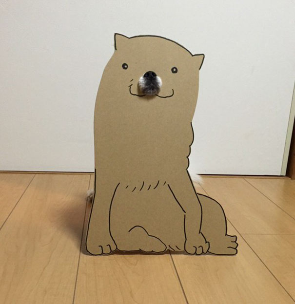 Cardboard Costume