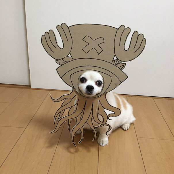 Cardboard Costume