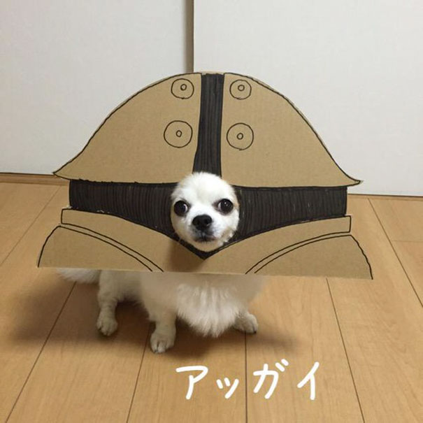 Cardboard Costume