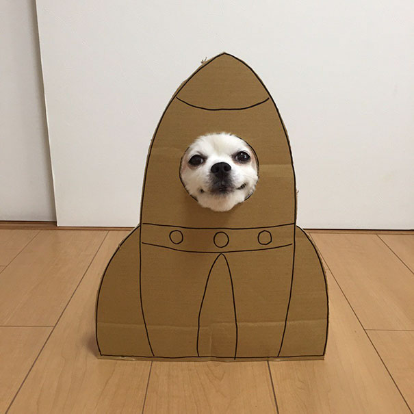 Cardboard Costume