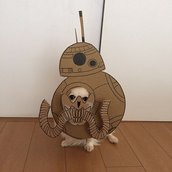 Cardboard Costume