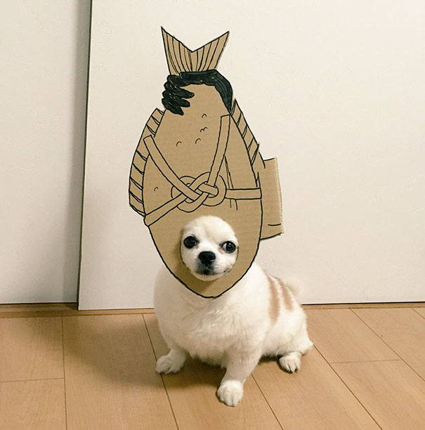 Cardboard Costume