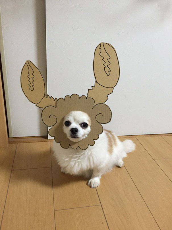 Cardboard Costume