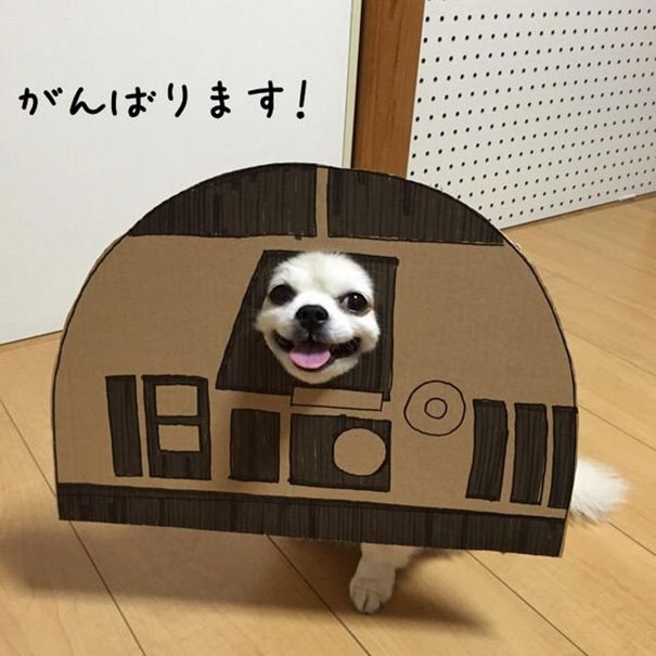 Cardboard Costume