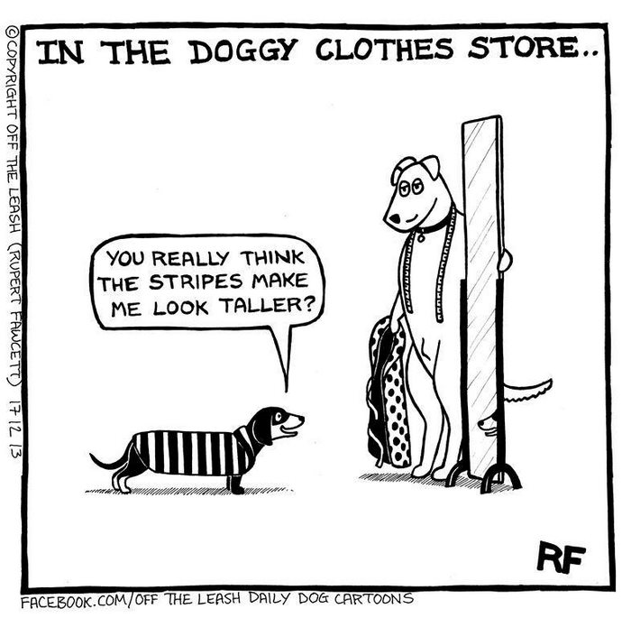 Funny Dog Cartoons