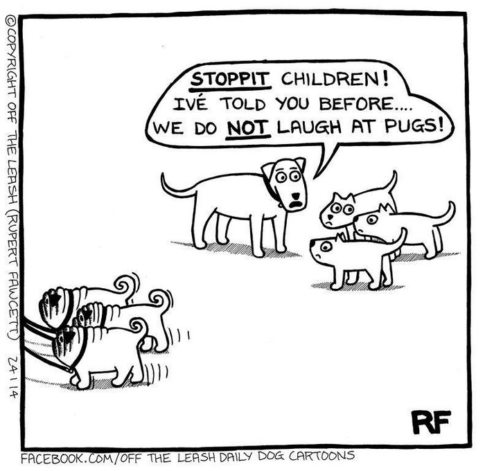 Funny Dog Cartoons