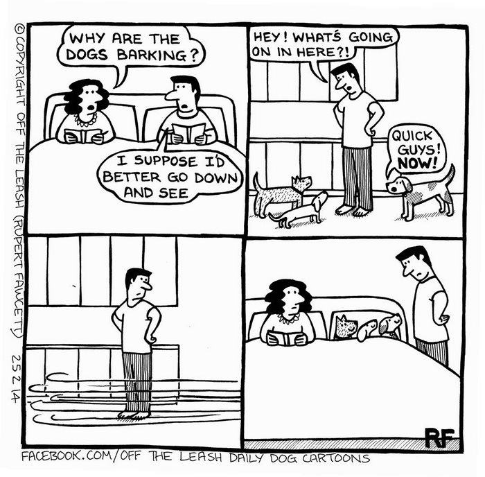 Funny Dog Cartoons