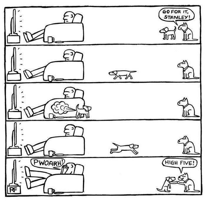 Funny Dog Cartoons