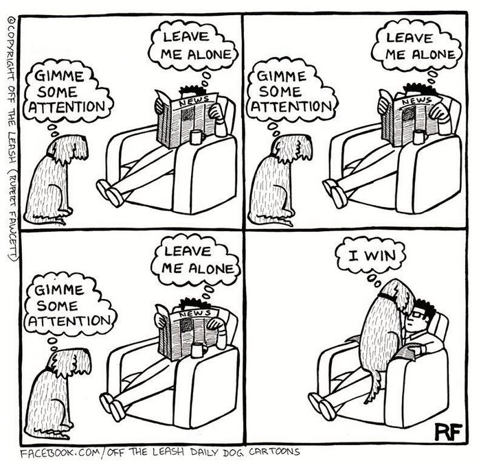 Funny Dog Cartoons