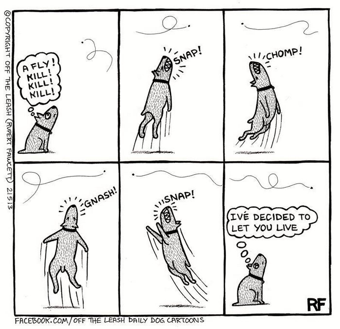 Funny Dog Cartoons