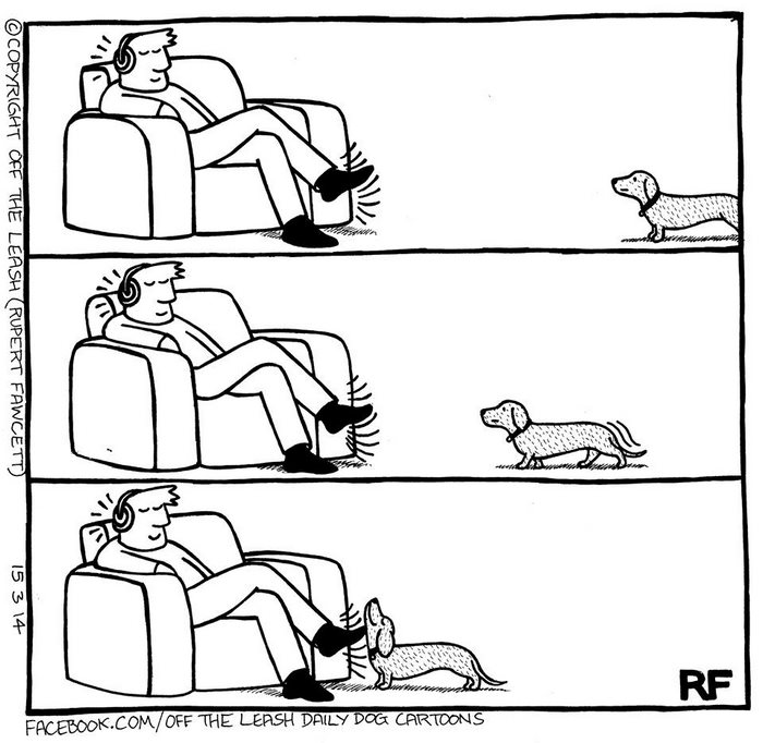 Funny Dog Cartoons