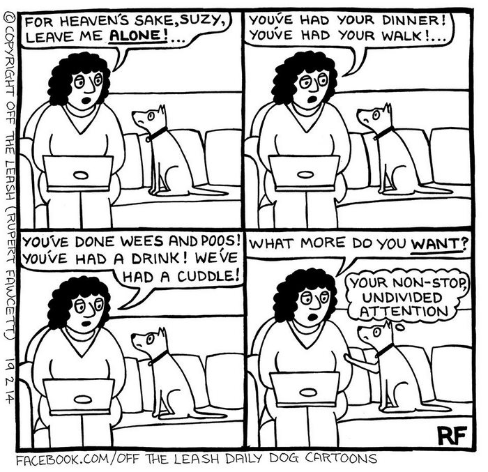 Funny Dog Cartoons