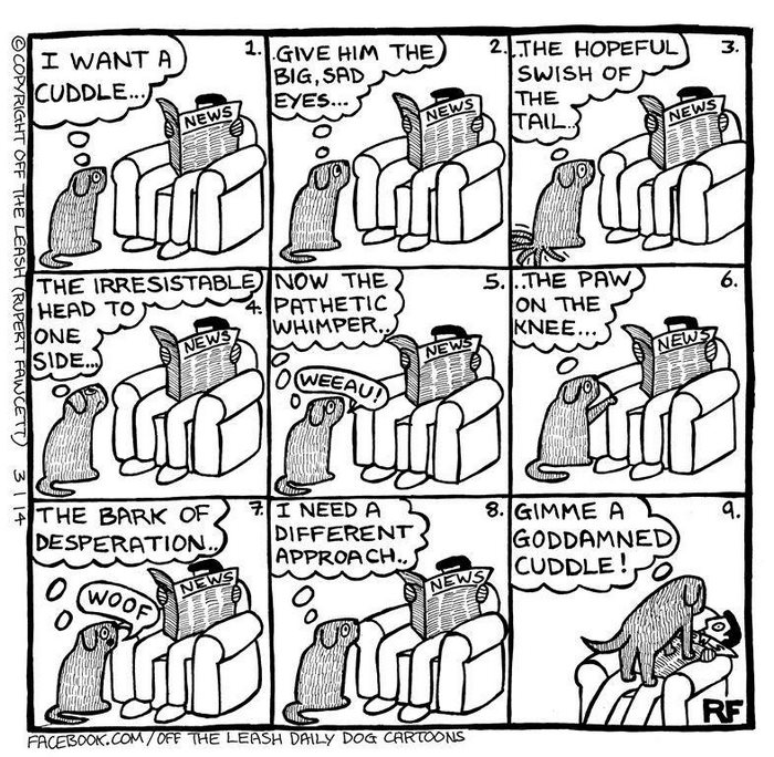 Funny Dog Cartoons