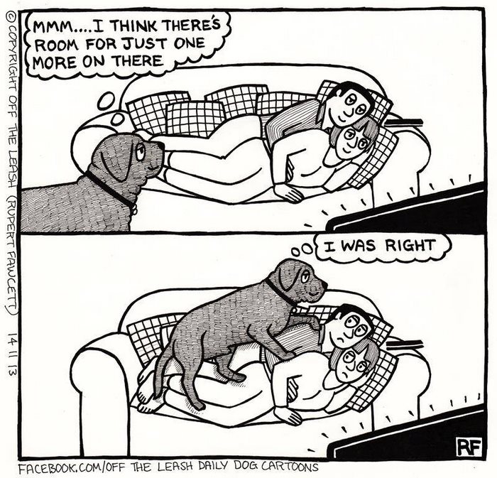 Funny Dog Cartoons