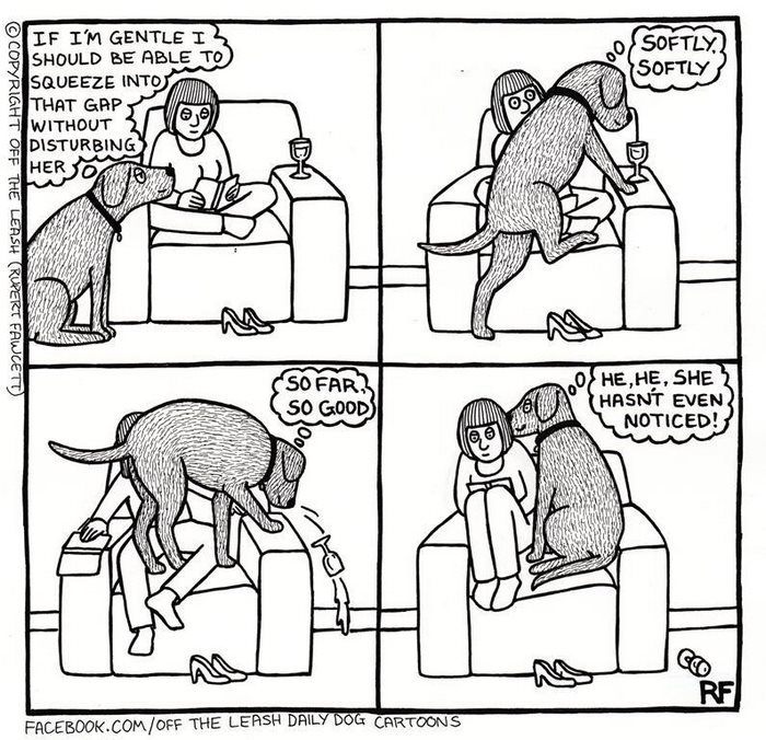 Funny Dog Cartoons