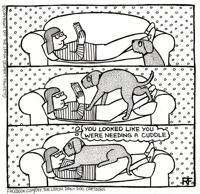 Funny Dog Cartoons