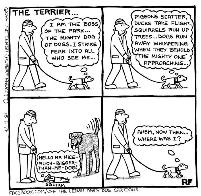 Funny Dog Cartoons