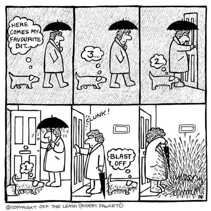 Funny Dog Cartoons