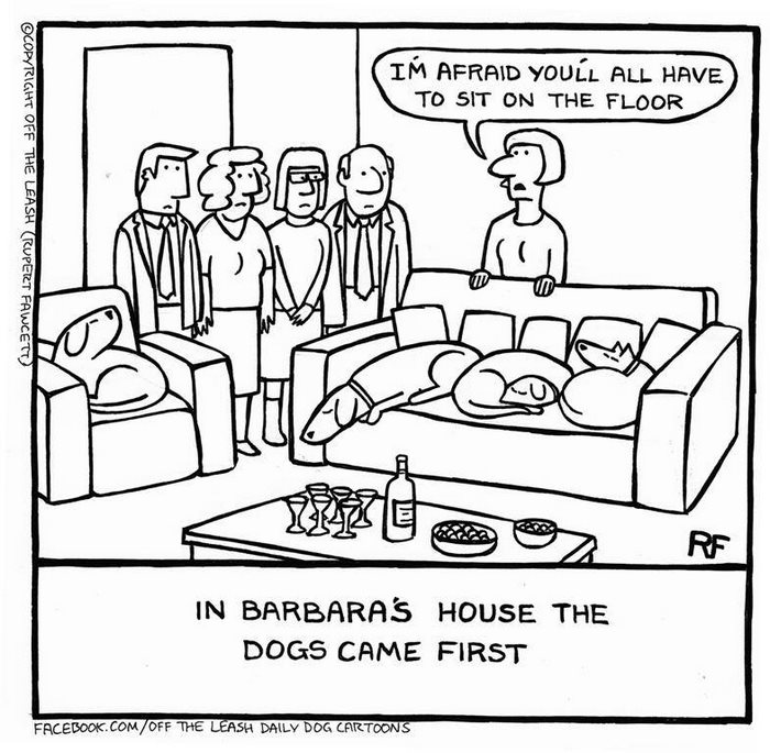 Funny Dog Cartoons