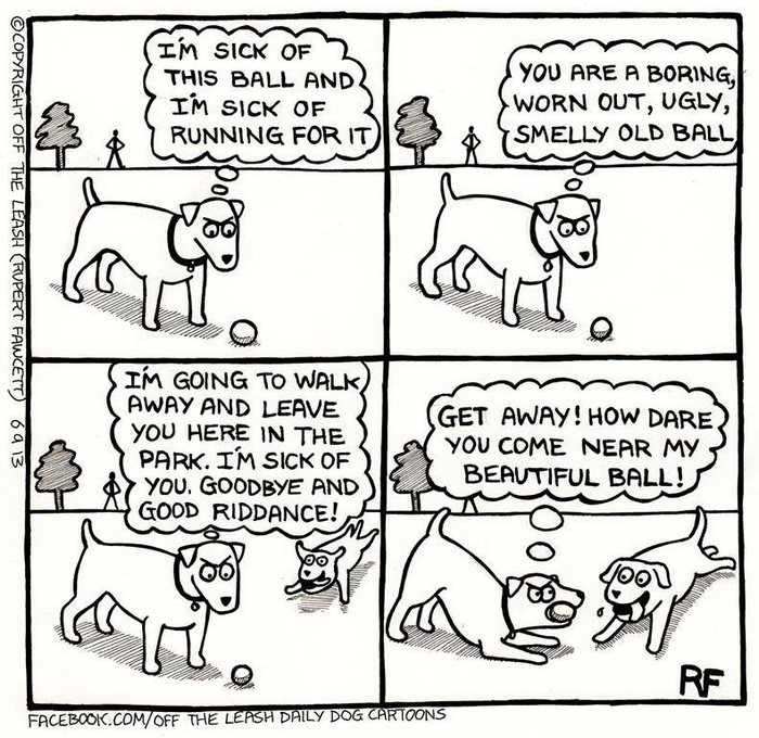 Funny Dog Cartoons